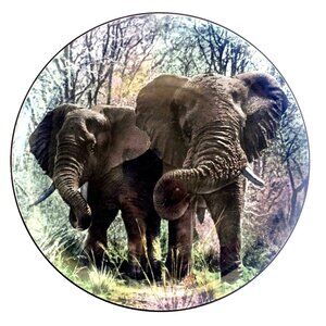 Vintage Royal Doulton African Elephants Plate D6481 African Game Reserve 10"